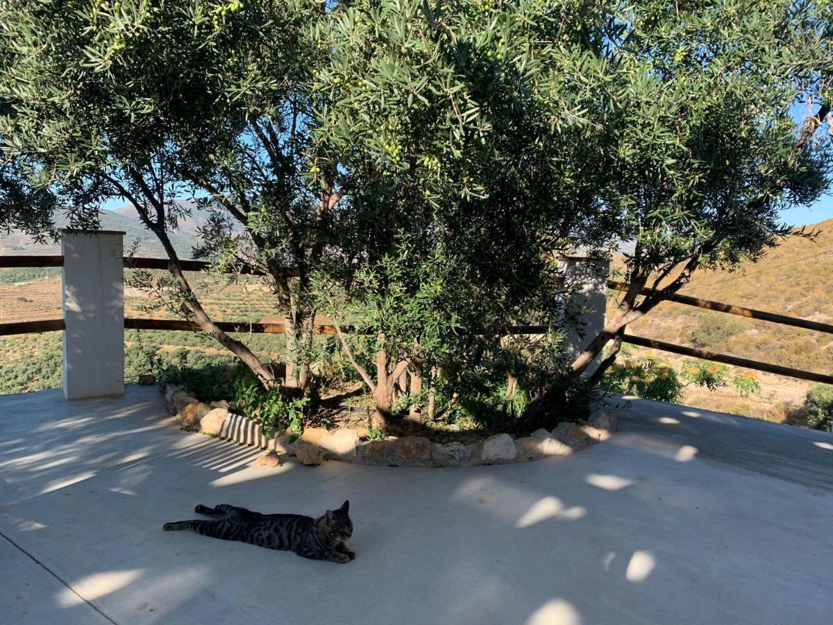 Cortijo Samadhi Guest House Lanjaron Luaran gambar